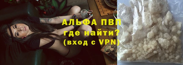 стаф Санкт-Петербург