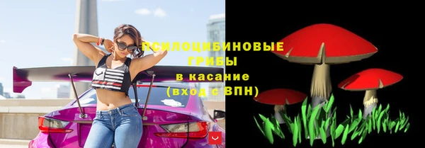 стаф Санкт-Петербург