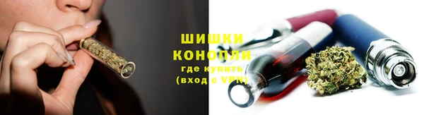 PSILOCYBIN Новосибирск