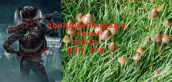 PSILOCYBIN Новосибирск