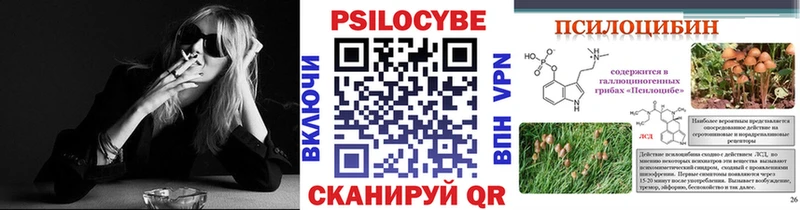Купить закладки  Прохладный  Галлюциногенные грибы мухоморы 